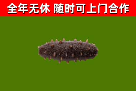 瓦房店烟酒回收干海参.jpg
